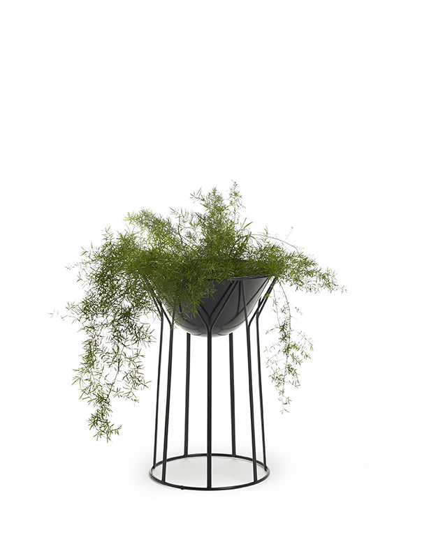 O2ASIS Circus Planter