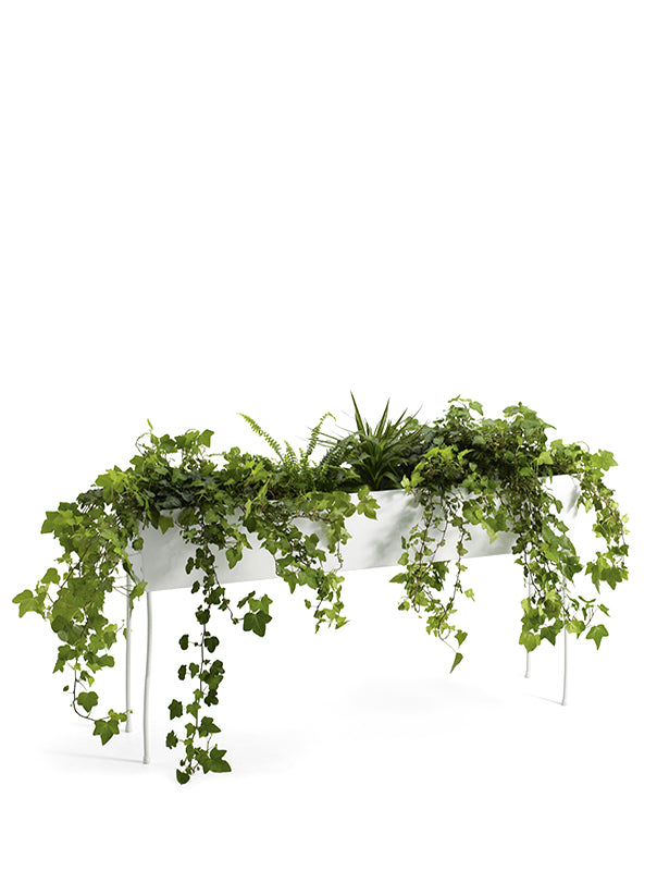 O2ASIS Green Pedestal